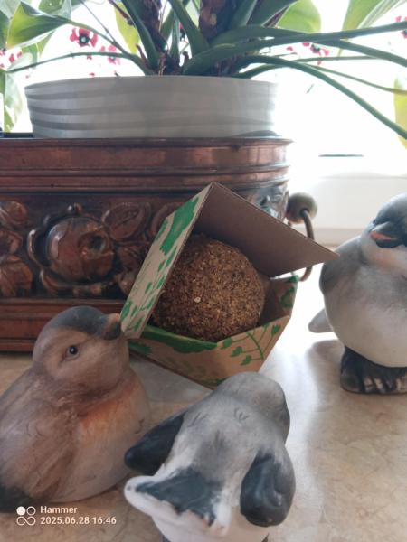 00a97669-66ff-4f22-946d-e51b9c1a6f66cfe242fb1008181302