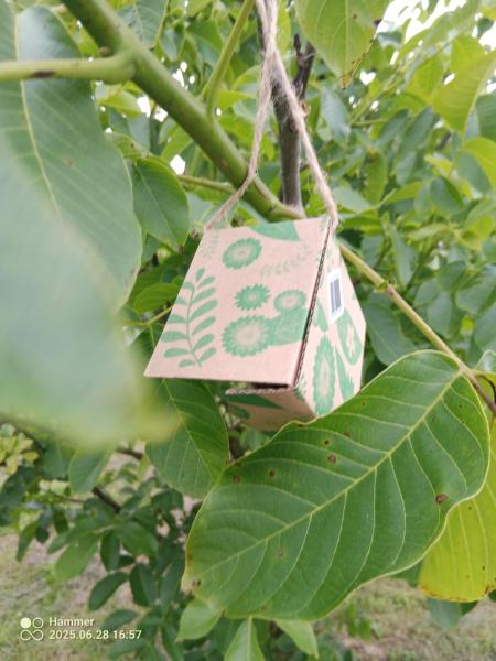 1ba12ed5-3170-49e8-b7d3-6902aa52e98ac7cb4a7e1008181302