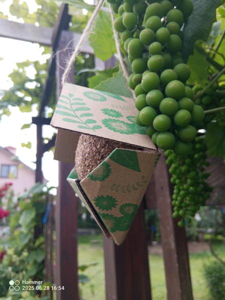 5307f2fb-7125-4292-ae98-e083a1769bbf4e0c36a81008181302