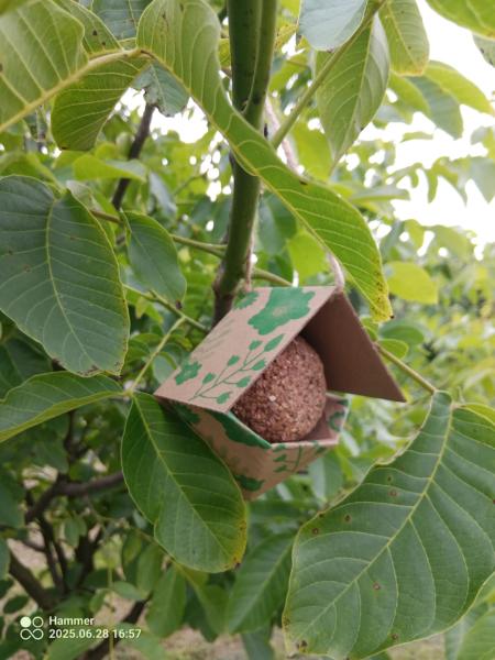 7d1fc183-39b1-4ddb-850c-a51e6029b1e57a163f831008181302