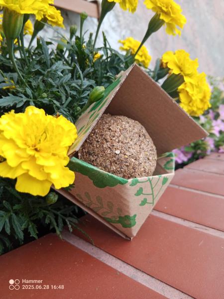 8ff8e4fb-fad0-435d-a549-264e4c3cfe6b569ff8c21008181302