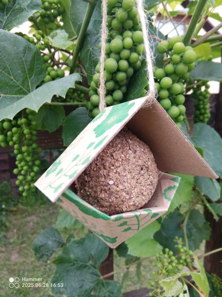 b0f5e200-0d8e-419e-81e7-dbda932a3d1e2a9a1f071008181302